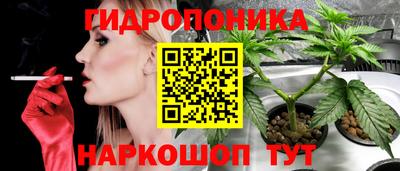 ПСИЛОЦИБИНОВЫЕ ГРИБЫ Бузулук