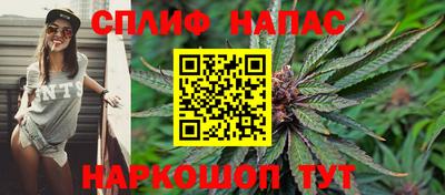 spice Будённовск