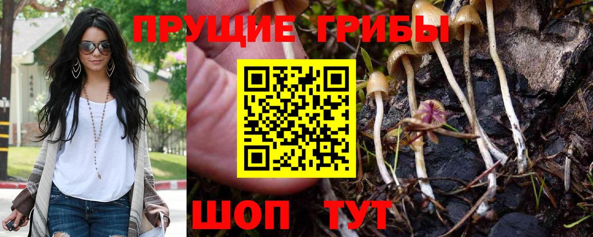 Псилоцибиновые грибы GOLDEN TEACHER  Вход с VPN  Лабытнанги  Псилоцибиновые грибы ЛСД 